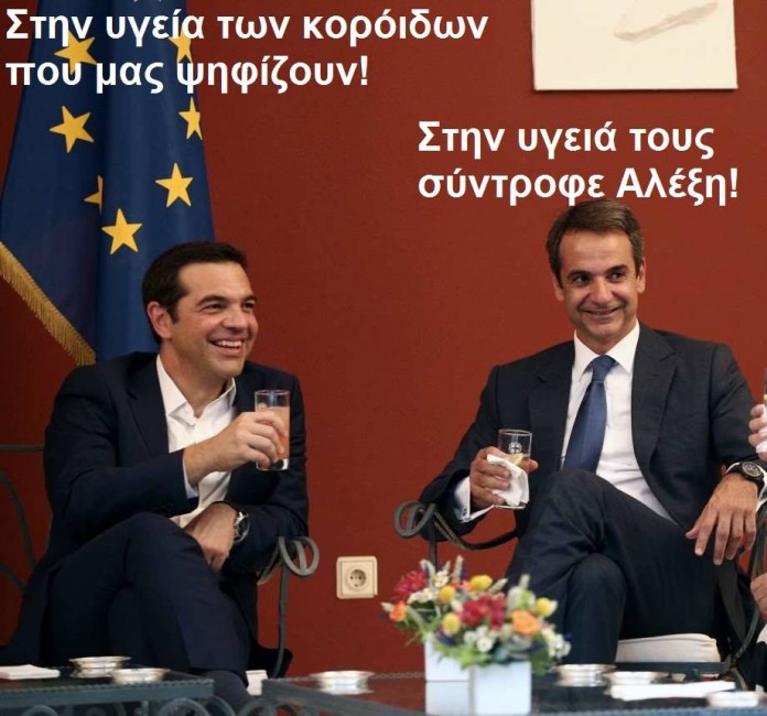 Ὅλα τὰ γουρούνια ἔχουν τὴν ἴδια μούρη.