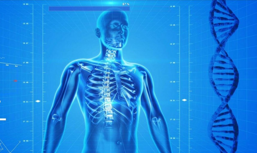 Πώς οι άνθρωποι έχασαν την... ουρά τους